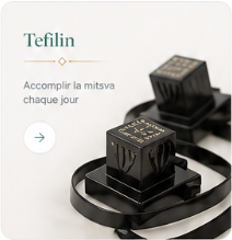 Tefilin